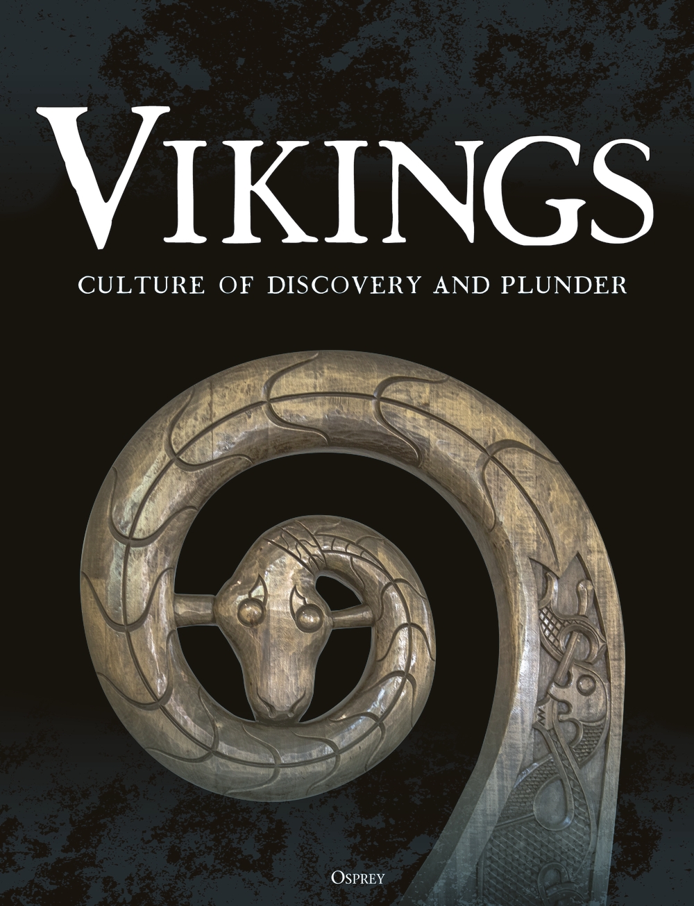 Vikings book jacket