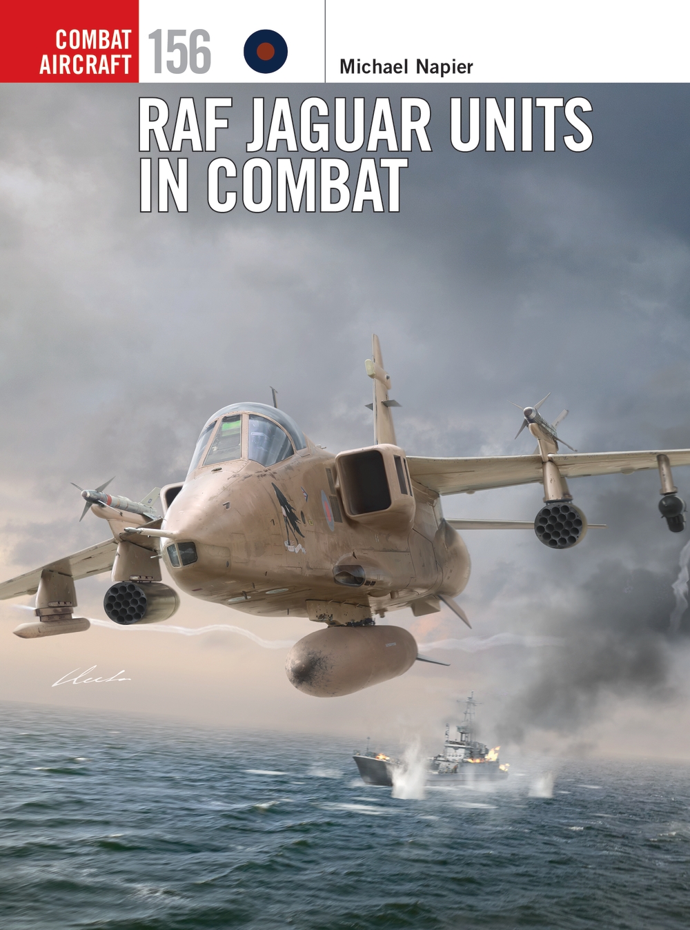 RAF Jaguar Units in Combat book jacket