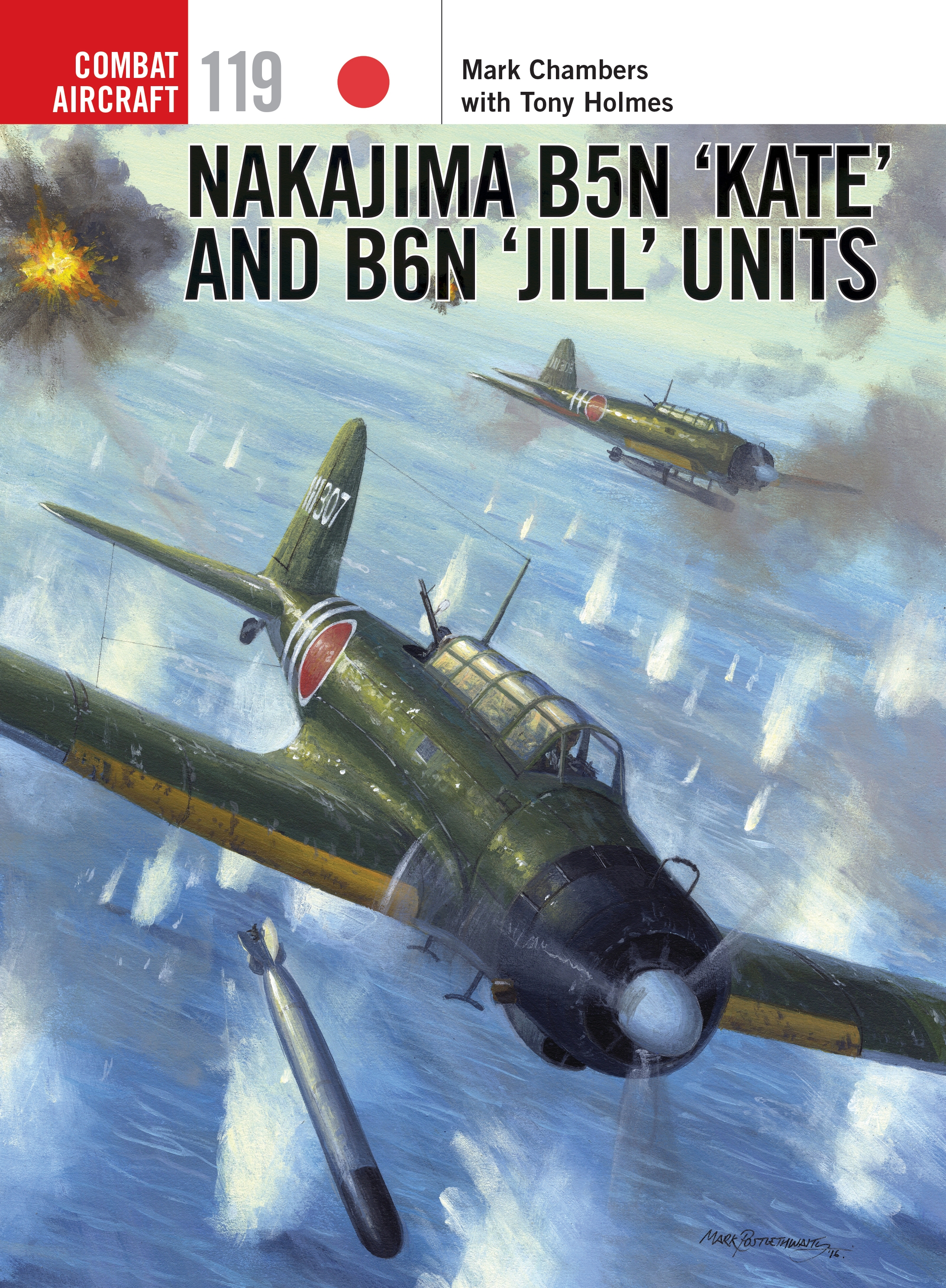 COM 119 Nakjima cover