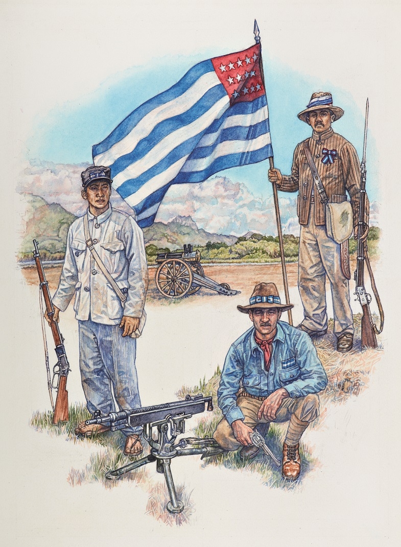 Latin American Wars image