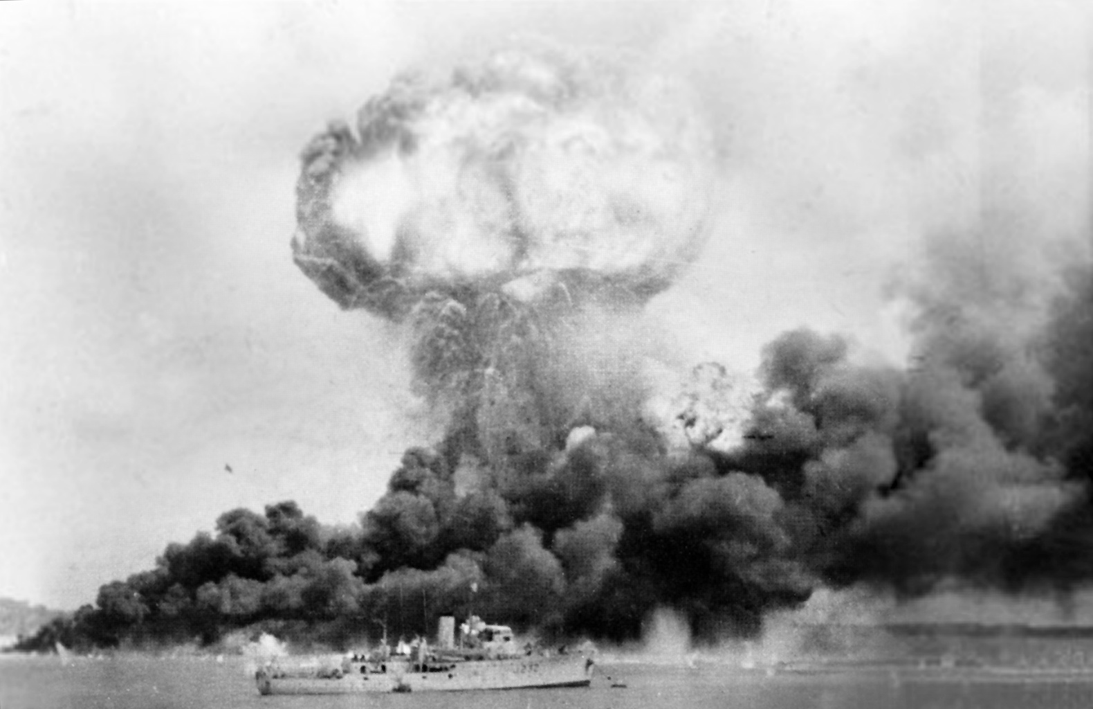 darwin 1942
