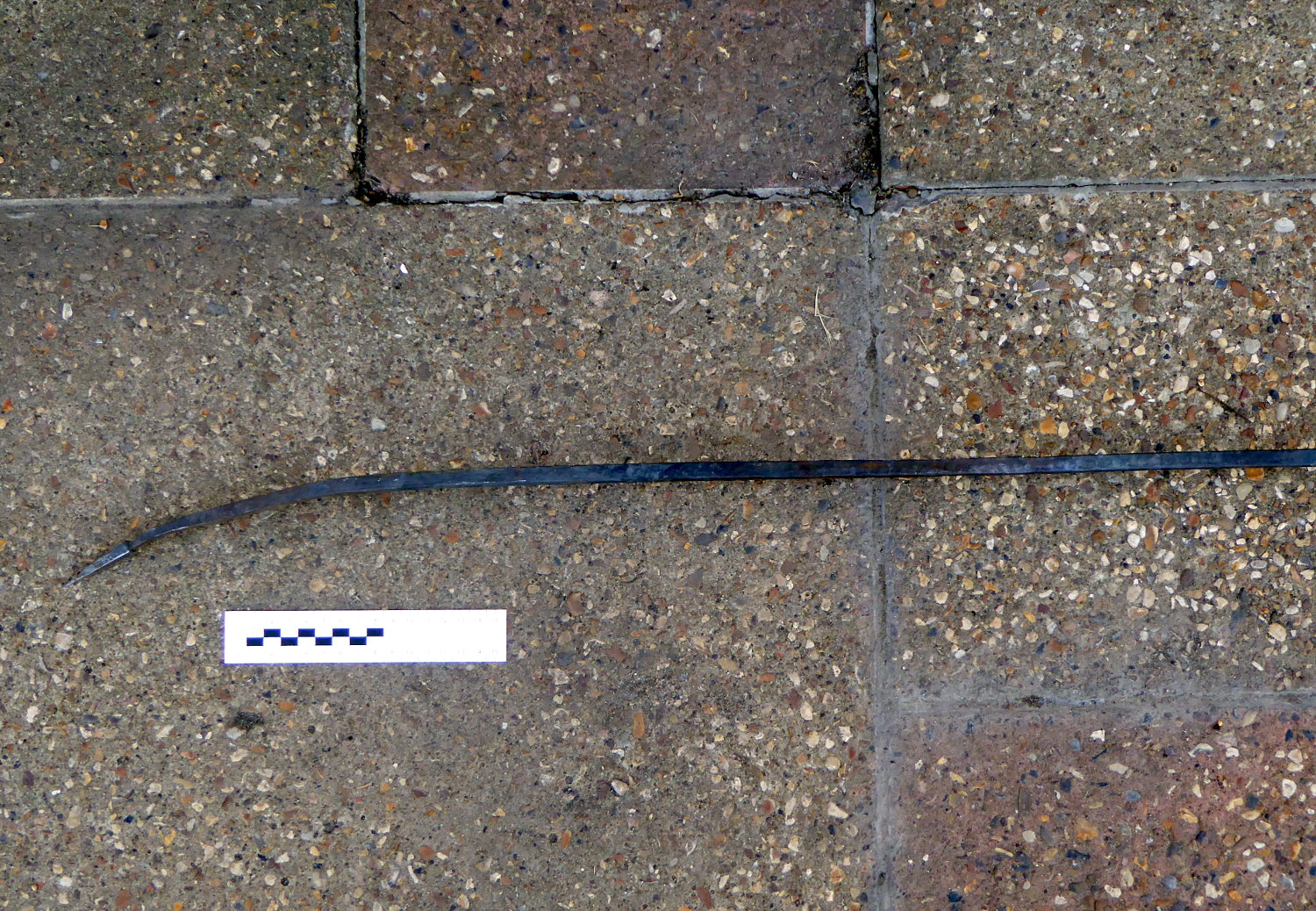 pilum picture 6
