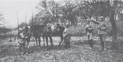 Horse mounted units