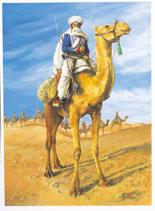 An illustration of a mounted soldier in Napoleon's Camel Corps